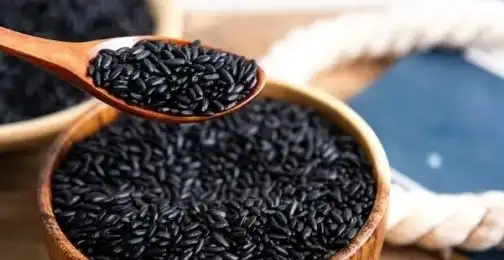 Molecular Mechanisms of Bioactive Compounds in Black Rice Extract